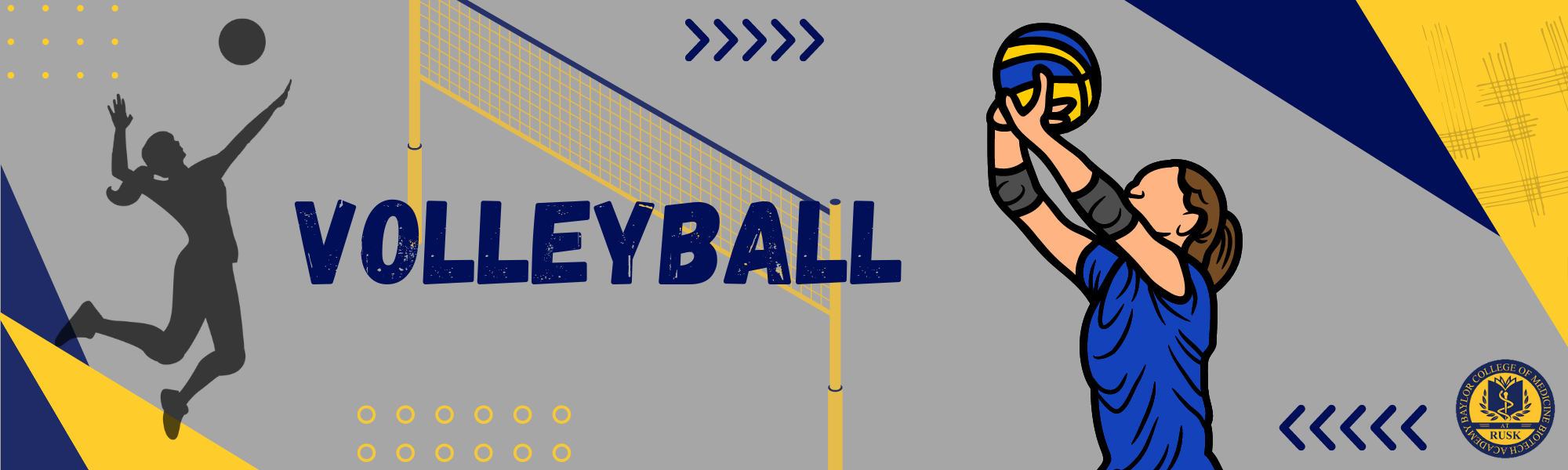 Volleyball banner